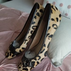 Leopard Flats